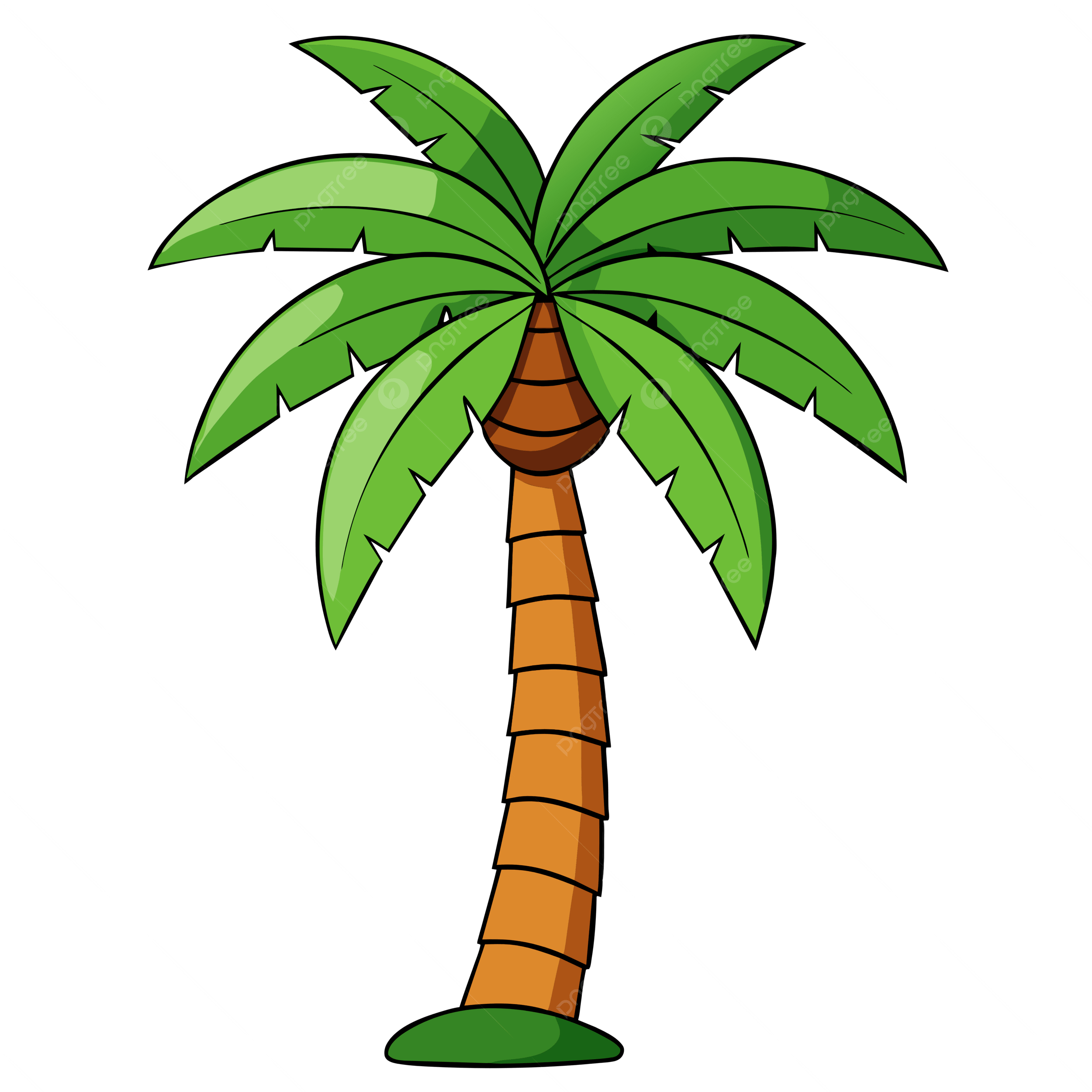 palmera
